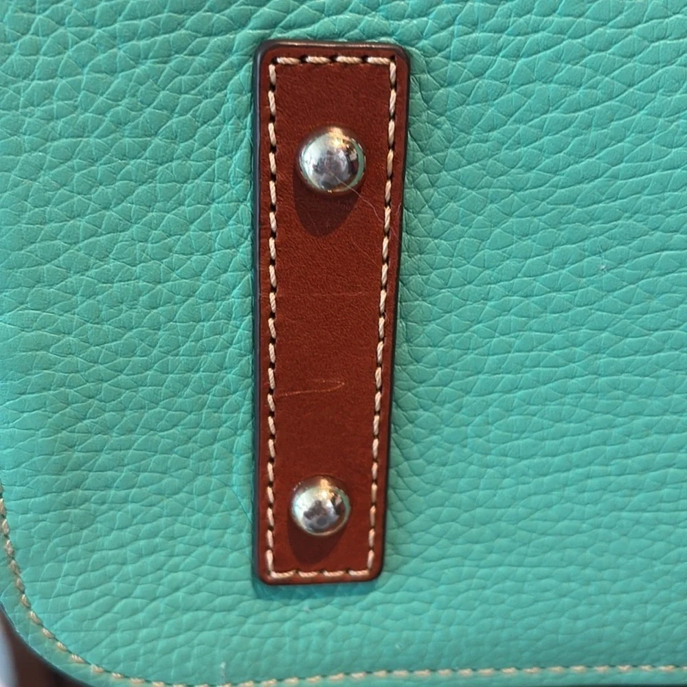 Dooney Bourke Bright mint satchel Crossbody /Shoulder bag Leather/brown trim